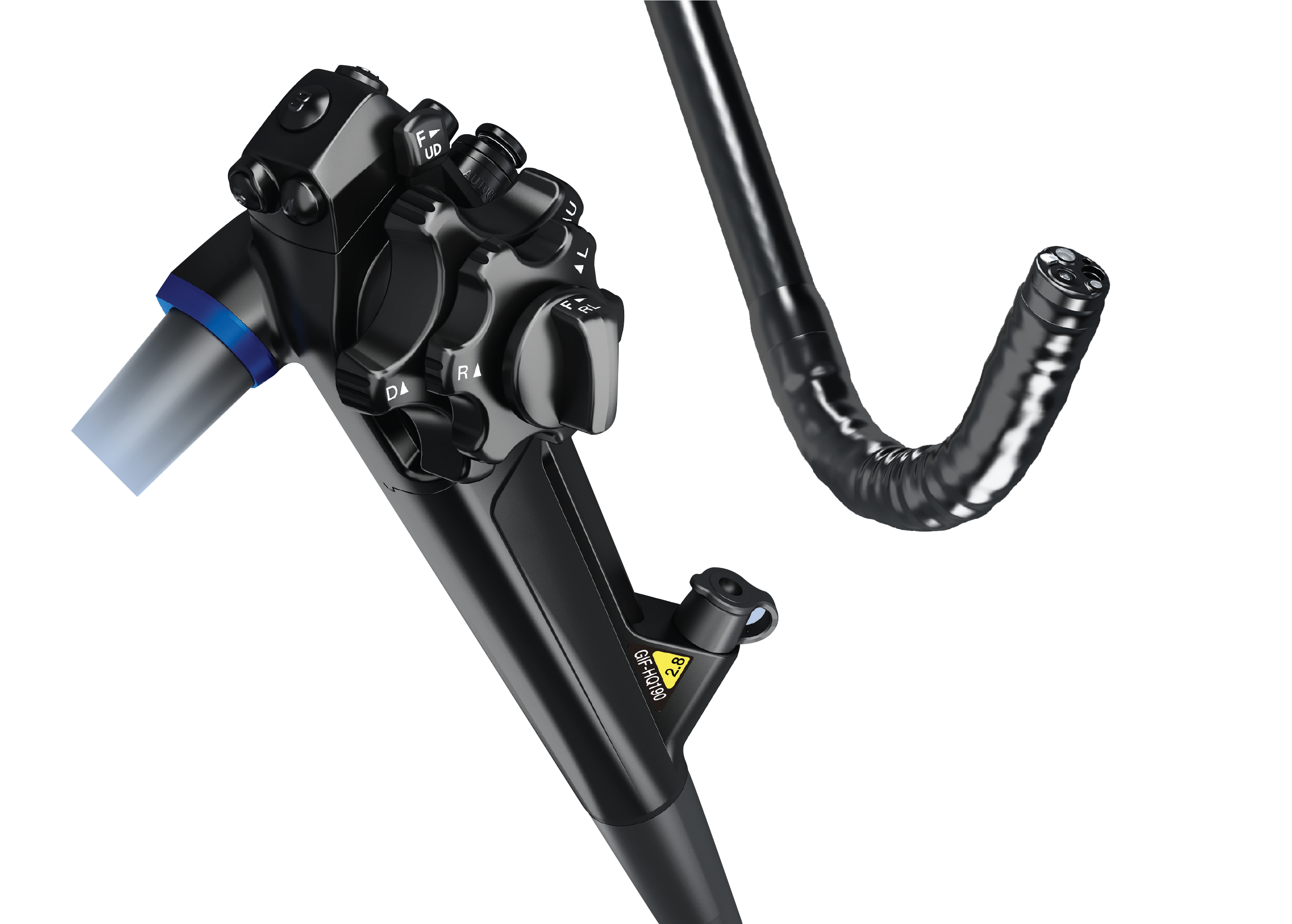 GASTROSCOPE – GIF HQ190