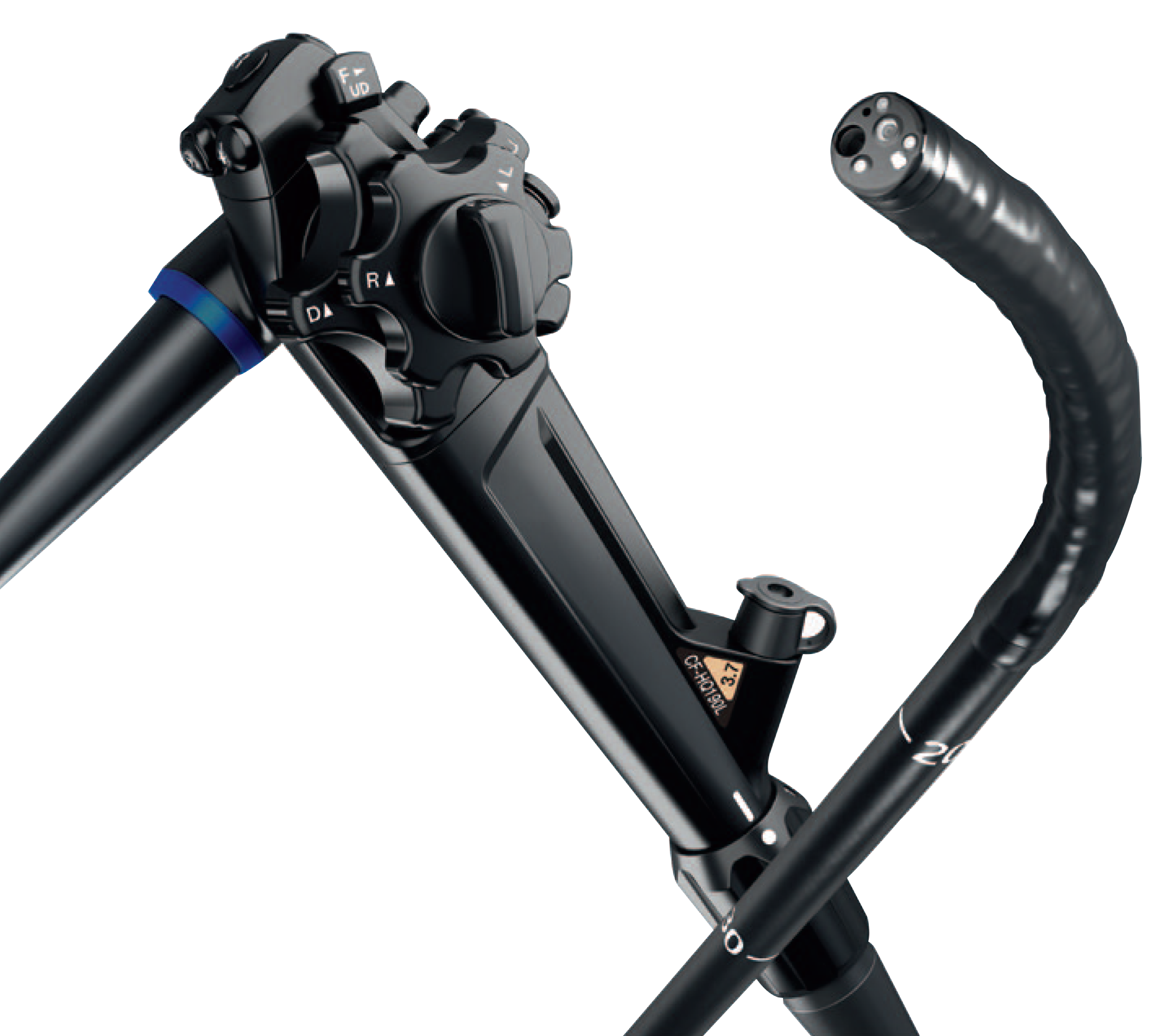 COLONOSCOPE – CF HQ190L/I