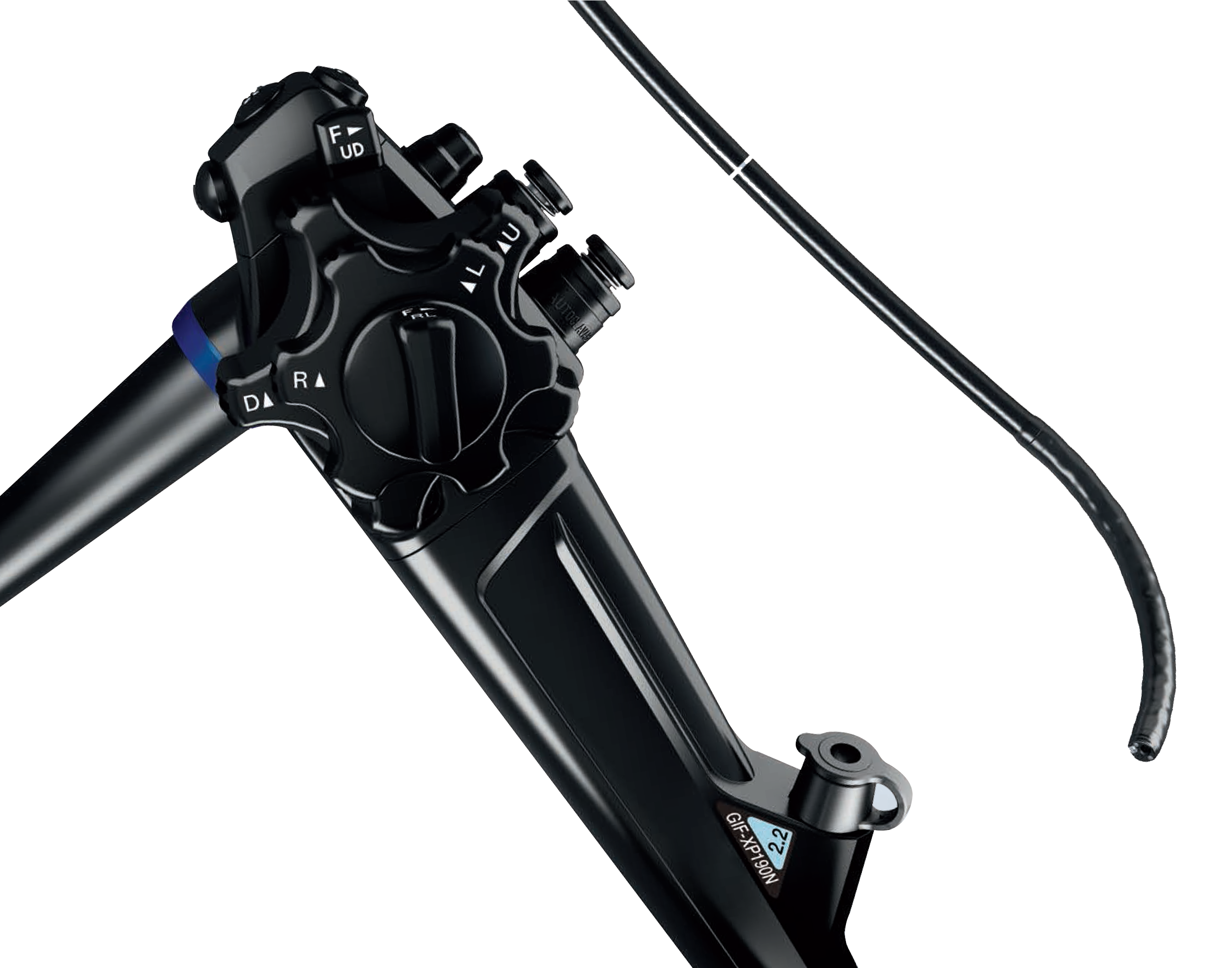 TRANSNASAL GASTROSCOPE – GIF XP190N